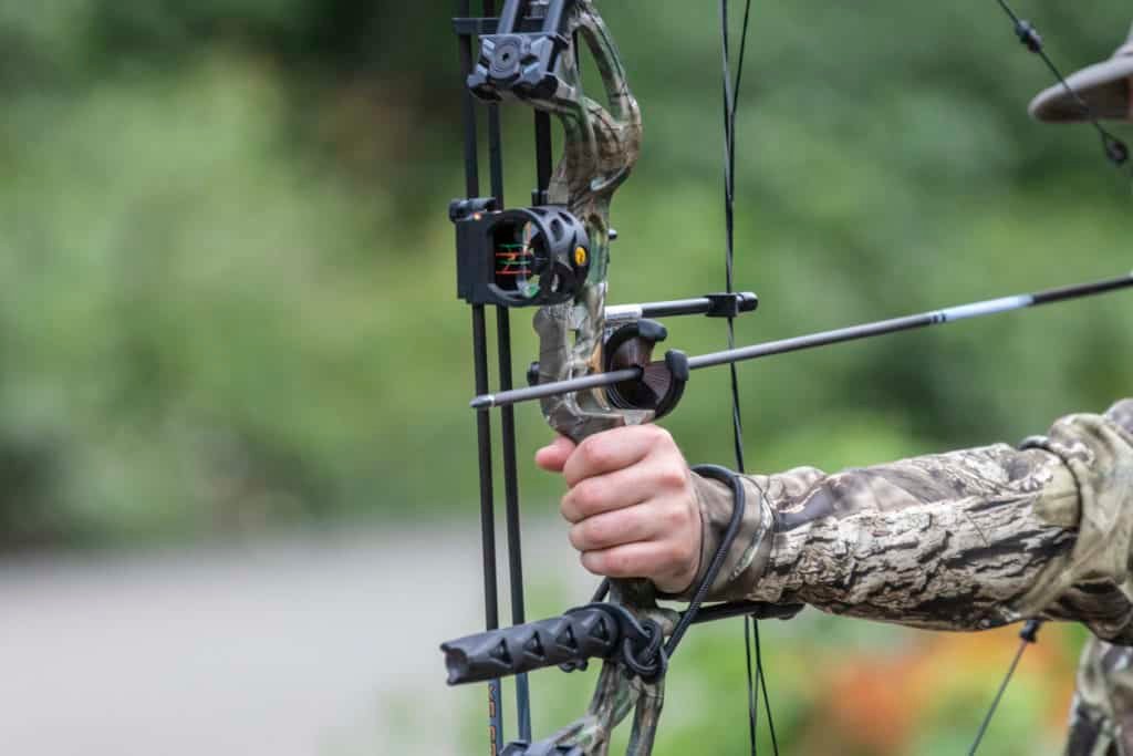 compound bows