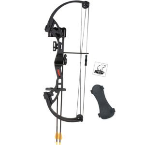 bear archery bow set